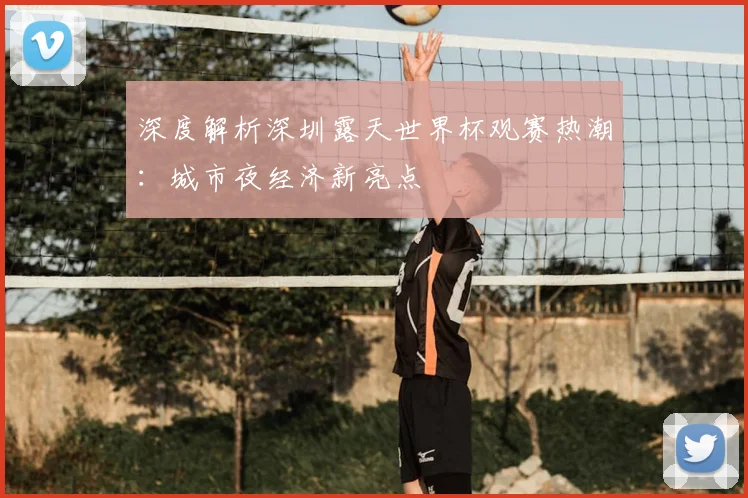 深度解析深圳露天世界杯观赛热潮:城市夜经济新亮点