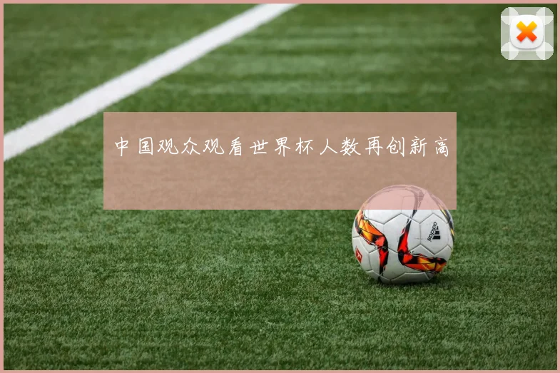 中国观众观看世界杯人数再创新高