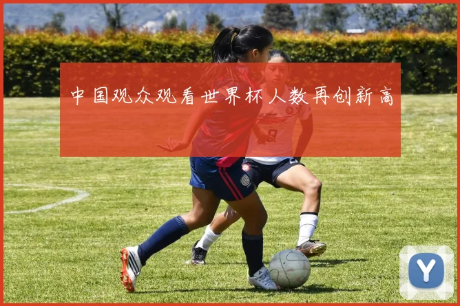 中国观众观看世界杯人数再创新高